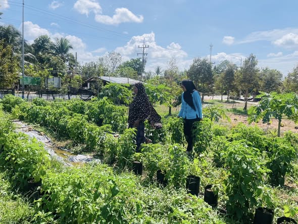 พช.มายอลงพื้นที่สนับสนุน/ติดตามศูนย์การเรียนรู้การพัฒนาคุณภาพชีวิตตามหลัก ทฤษฎีใหม่ประยุกต์สู่"โคก หนอง นา" บ้านบูดน